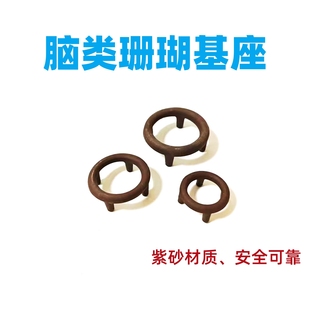 活石脑类珊瑚基座培育繁殖珊瑚底座小中大号天然紫砂材质