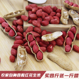 新货新鲜农家自种四粒红生花生米4斤包邮种子散装不带壳小粒红皮