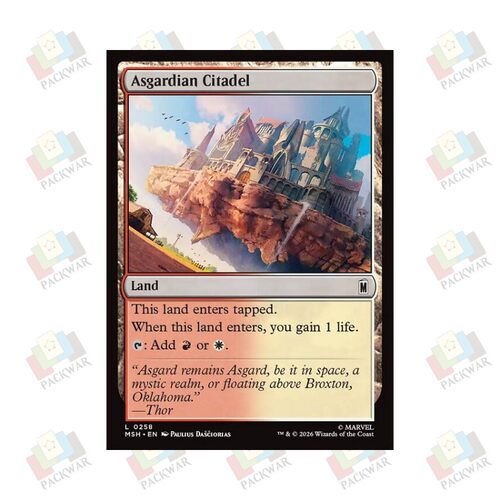 牌客窝 万智牌 阿斯加德城堡 Asgardian Citadel 铁 地 闪