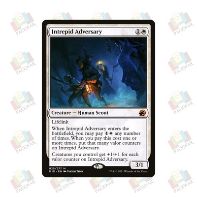 牌客窝 万智牌 无畏仇敌 Intrepid Adversary 秘稀 白 闪