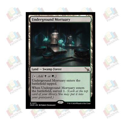 地下殓房卡牌类万智牌