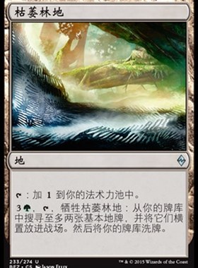 牌客窝 万智牌 枯萎林地 Blighted Woodland 银 地