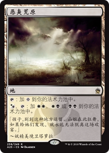 牌客窝 万智牌  恶臭荒原  Fetid Heath 金 地 闪