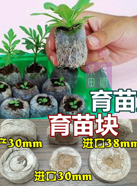 进口育苗块基质土 新手种植发芽工具育苗盒 捷菲Jiffy压缩泥炭块