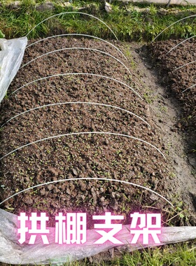 小拱棚支架薄膜遮阳网菜棚保温棚花棚拱竿骨架玻纤杆玻璃钢弹力棒