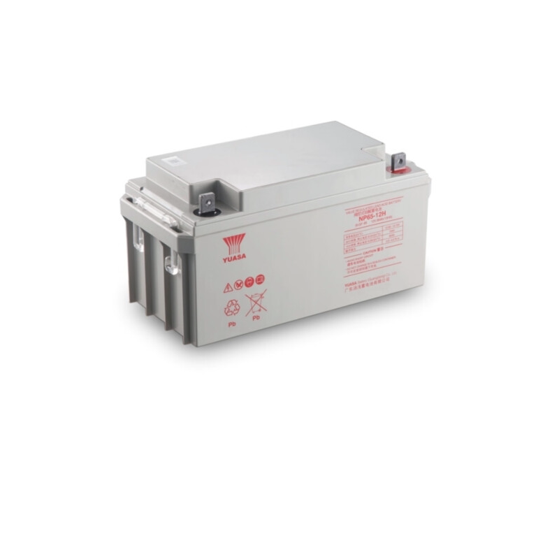 UPS电池 汤浅蓄电池 免维护电瓶 汤浅12V65AH NP65-12H UPS电瓶