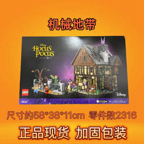 LEGO乐高21341桑德森姐妹的魔法屋创意IDEAS系列正版积木玩具礼物