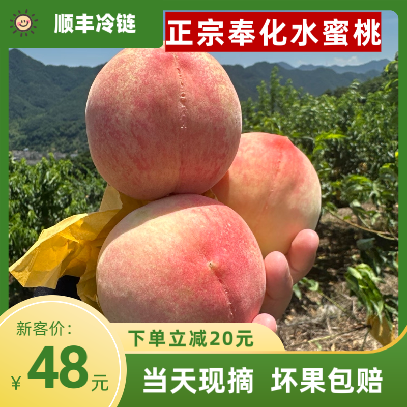 【顺丰包邮首单立减20】奉化水蜜桃正宗果园现摘礼盒桃子宁波特产