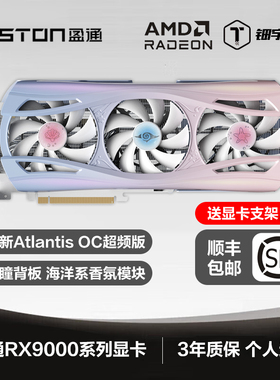 AMD盈通RX9070XT 16G RX9060XT 8G樱瞳水着花嫁台式机游戏显卡