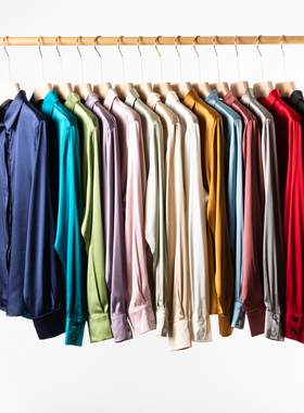 OL风真丝弹力素绉缎面 桑蚕丝简约轻奢长袖方领衬衫女通勤春秋