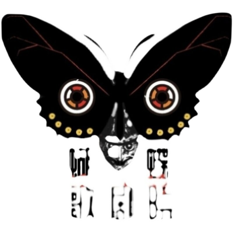 柔眼蝶属 混蝶 Pierella mixed未展翅标本原蝶 三角包发出