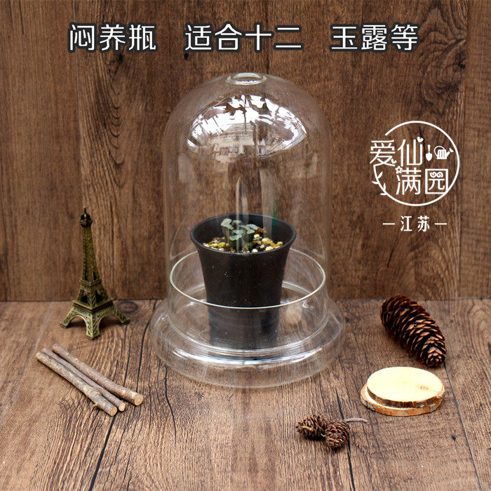 包邮多肉植物 十二卷闷养罐 玉露玉扇苔藓空气凤梨闷养罩爱仙满园