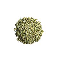 Indian coriander seeds, Indian variety curry, Mexican compound spice Coriander seed thumbnail 5