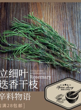 直立细叶迷迭香窄叶迷迭香牛排调味法式香草束用Rosemary