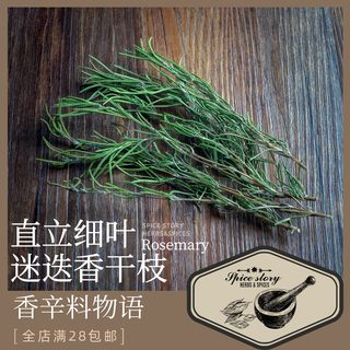 直立细叶迷迭香窄叶迷迭香牛排调味法式香草束用Rosemary