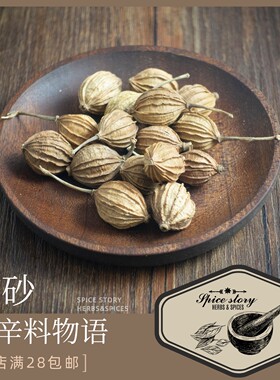 香砂仁川砂仁艳山姜香辛料川菜卤水Alpinia zerumbet