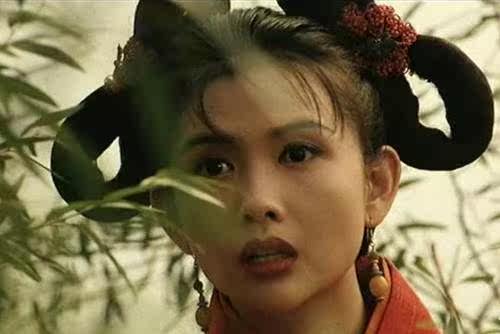 Extension cheveux - Chignon - Ref 238889 Image 5