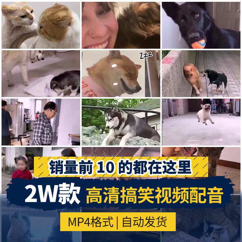 动物猫咪人物沙雕热门搞笑视频原创剧本剪辑高清无水印自媒体素材