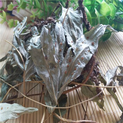 野生福建煲汤食材包邮