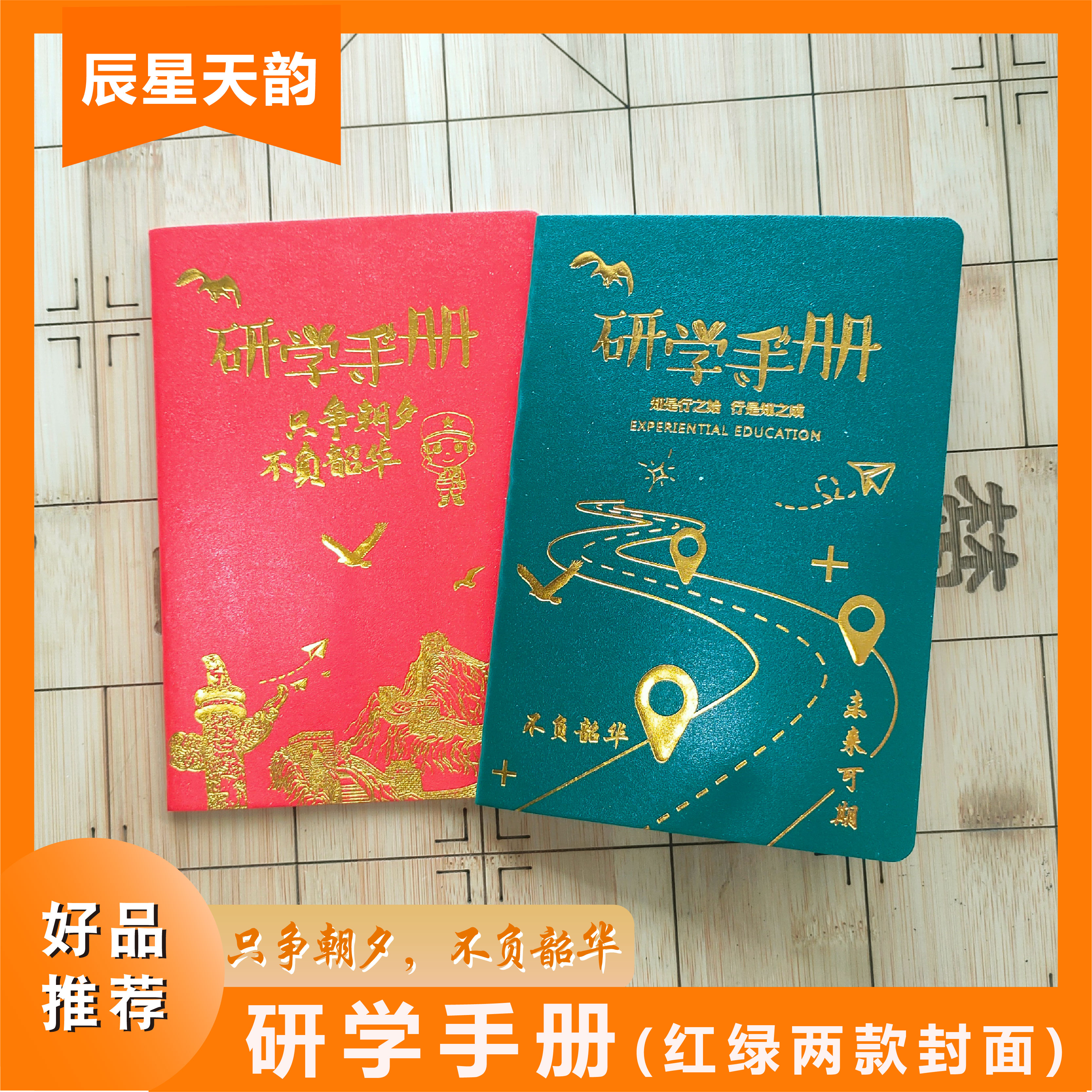 辰星天韵研学手册研学过程记录本