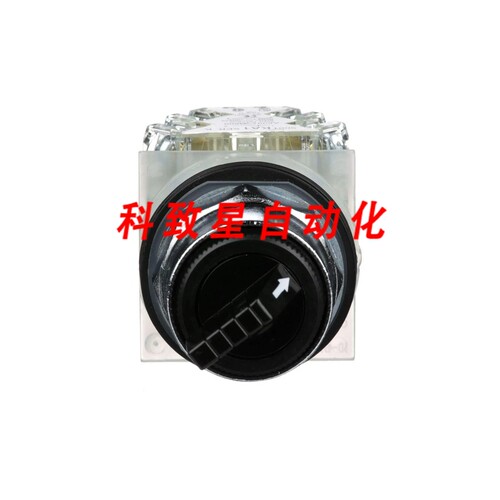工业配件9001KS11BH13-SWITCH