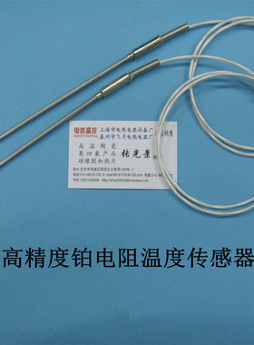 WZP高精度测温探头PT100铂电阻PT1000温度传感器
