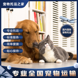 北京到全国航空宠物托运.随机托运宠物猫狗托运广州上海宠物运输