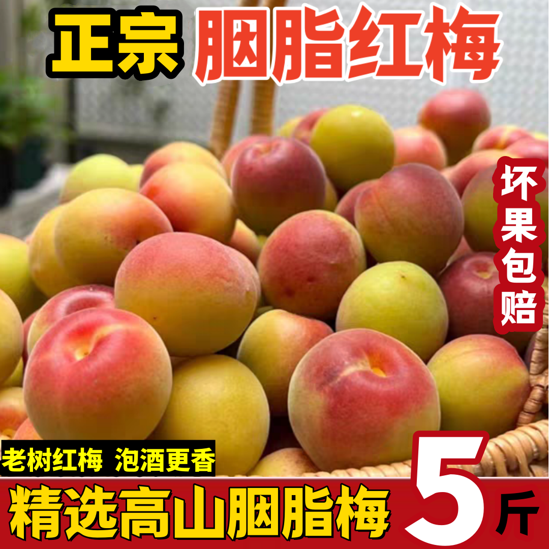 现摘云南胭脂梅5斤泡酒酵素专用酸梅子新鲜高山野生胭脂红梅