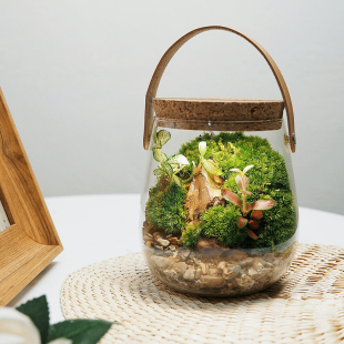 送5只辣椒蟹桌面生态瓶苔藓微景观鲜花盆栽随身瓶ins风生日礼物