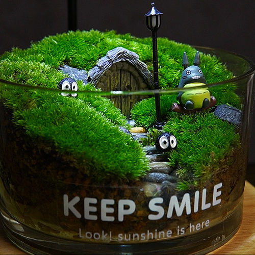 懒人桌面绿植私人草坪苔藓微景观室内摆件创意礼物办公成品生态瓶