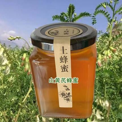 鲜蜂堂新采黄芪蜂蜜中华土蜂采集山区天然蜂蜜净重500克每瓶包邮