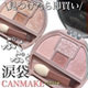 日本CANMAKE井田卧蚕四色眼影盘卧蚕盘泪袋眼影02