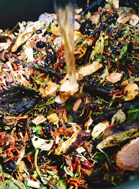 草本手工熬制侧柏叶洗发水植物洗发液道方氨基酸生姜何首乌