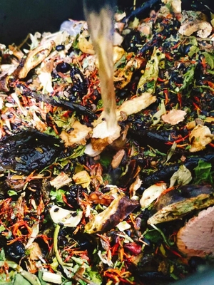 草本手工熬制侧柏叶洗发水植物洗发液道方氨基酸生姜何首乌