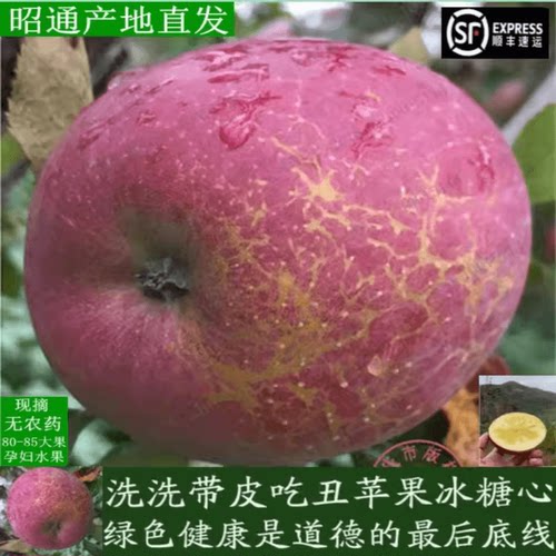 【发12斤装】云南昭通冰糖心丑苹果水果甜脆纯天然太阳晒斑现摘