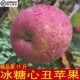 包邮 孕妇水果整箱 现摘当季 11斤云南昭通冰糖心丑苹果新鲜水果应季