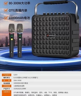 山水203歌音响一体机便携广场舞三分频重低音蓝牙高端声卡音箱