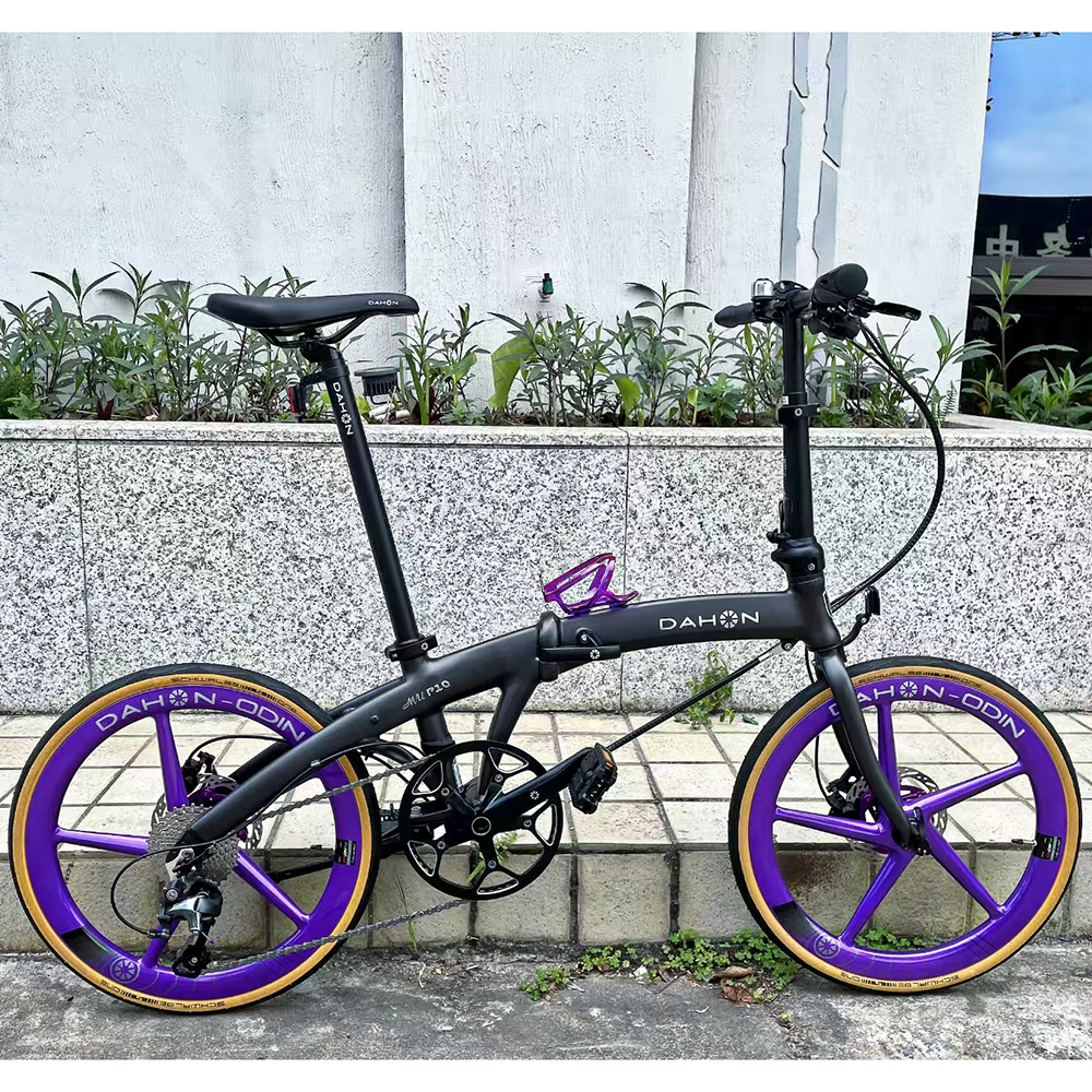 大行折叠自行车P10油碟20寸改装