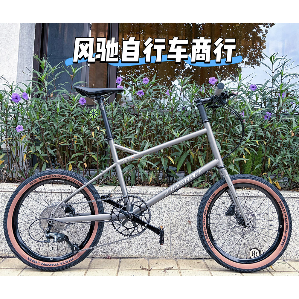 SILVEROCKDEWYpro小轮钢架