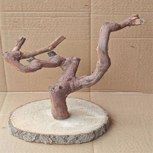 小鸟站架葡萄木树枝树干玄风小太阳鹦鹉枣木鸟站杆树枝造景跨境