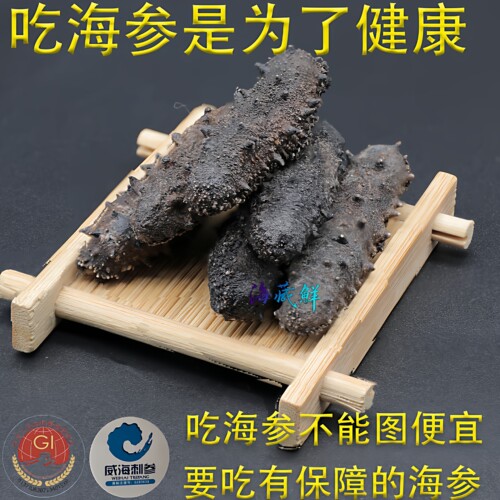 威海刺参深海水产干货海参底播