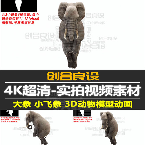 4K带通道3D三维动画逼真马戏团大象小飞象表演杂技短视频剪辑素材