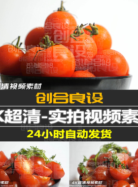 4K超清健康绿色有机水果圣女果小番茄西红柿实拍PR剪辑视频素材