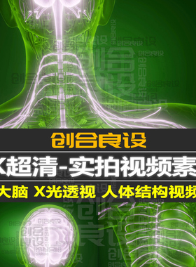 4K超清3D三维科技医疗医学绿色X光人体大脑透视PR短视频剪辑素材
