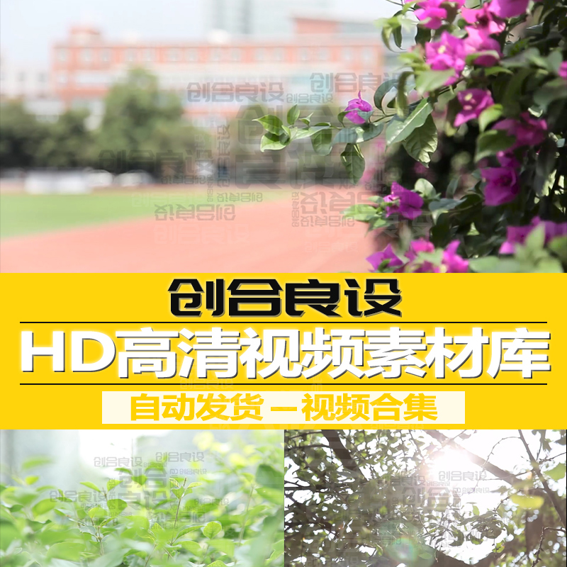 青春绿色校园生活篮球场景镜头视频实拍素材