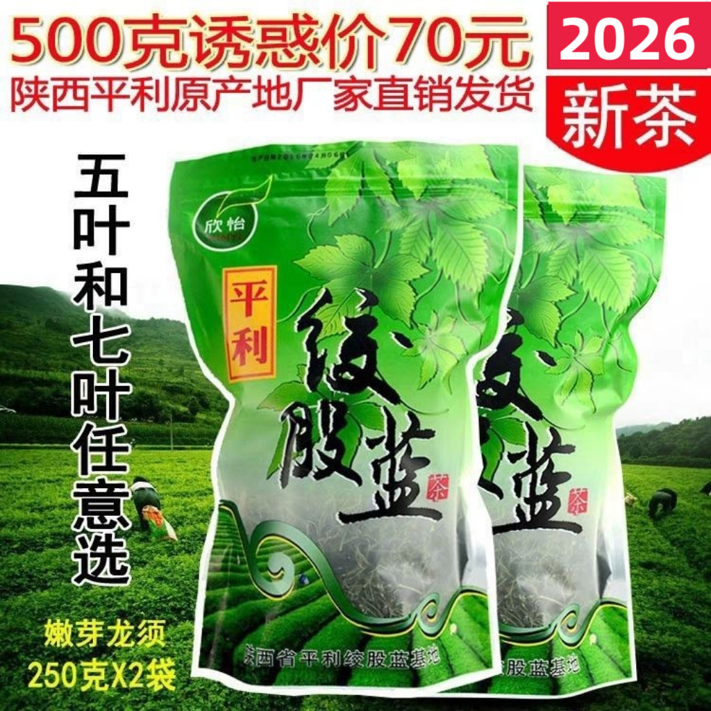 野生七叶苦味绞股蓝龙须茶
