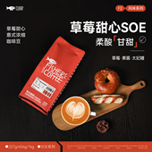 FISHER啡舍F2 浓缩咖啡豆埃塞俄比亚日晒SOE柔酸甘甜 草莓甜心意式