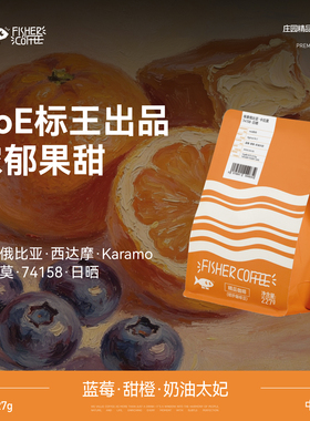 【Mid中烘系列】FISHER埃塞西达摩卡拉莫74158日晒手冲咖啡豆227g