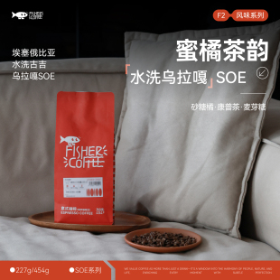咖啡豆F2蜜橘茶·埃塞俄比亚古吉乌拉嘎水洗 FISHER啡舍SOE意式