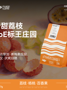 FISHER啡舍 哥斯达黎加唐梅奥庄园卡图艾厌氧日晒手冲咖啡豆 227g